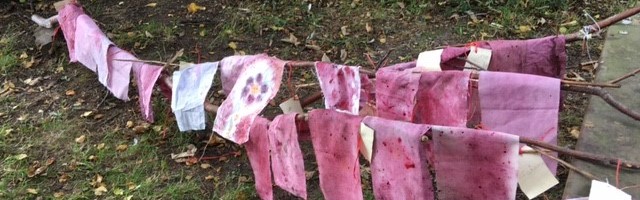 banner forest sch